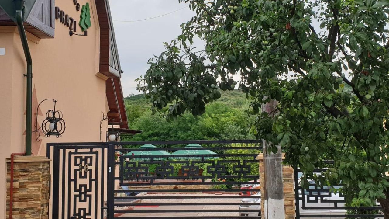 Pensiunea Brazi توردا المظهر الخارجي الصورة